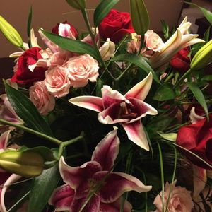 Meet your Posher, Azra